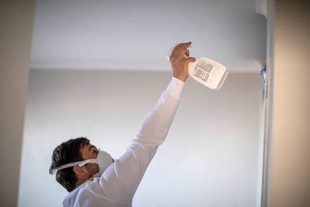 Best Insurance-Related Mold Remediation in Ly Lake, IL