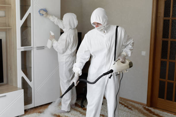 Best Basement Mold Remediation in Ly Lake, IL