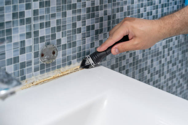Best Commercial Mold Remediation in Ly Lake, IL
